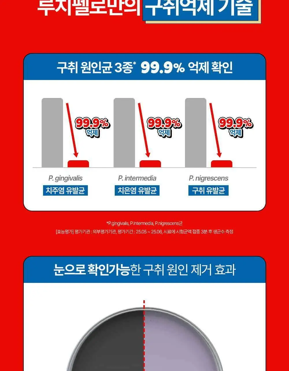 [고불소] 루치펠로X뵈르뵈르 치약 100g 더블 기획 3종 택1 (알럽쏘말차/오레몬지/카라멜댄스) 상세페이지 13